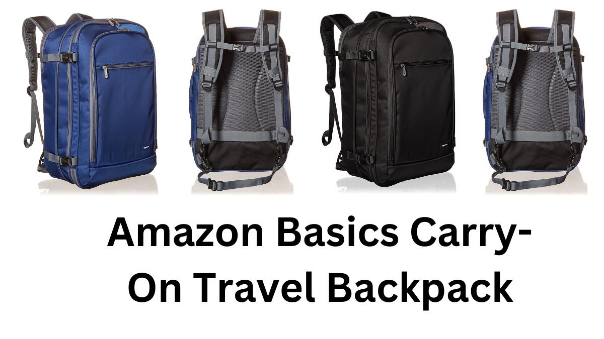 amazon basics travel backpack review