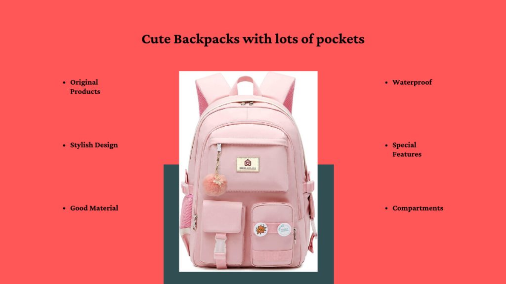 backpack with lots of pockets and compartments