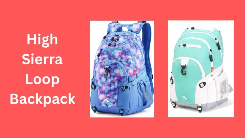 High Sierra Loop Backpack Review | FineBackPack