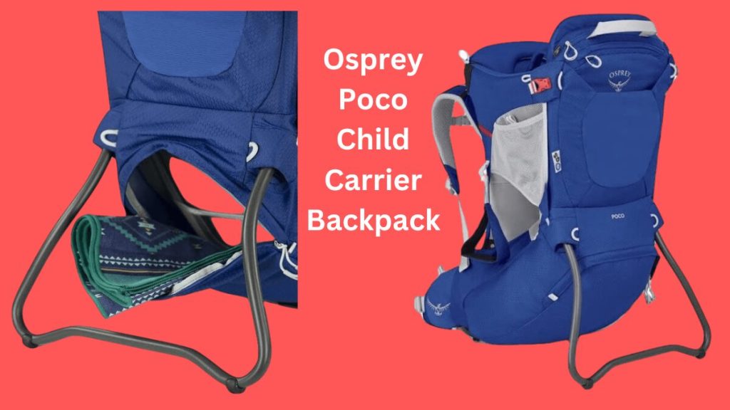 Osprey Poco Child Carrier Backpack