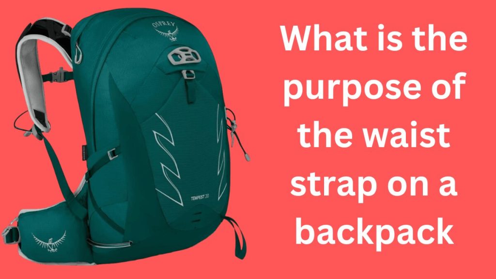 What is the purpose of the waist strap on a backpack