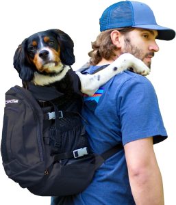 hiking backpack dog carrier