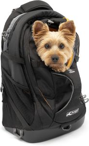 hiking backpack dog carrier