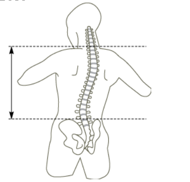 how to measure torso length for backpack