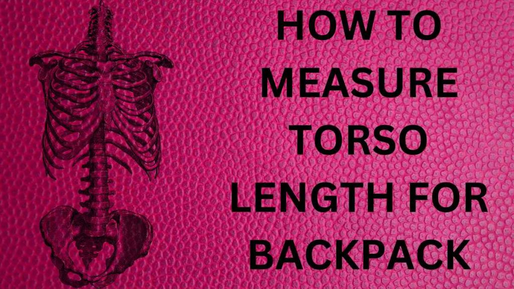 HOW TO MEASURE TORSO LENGTH FOR BACKPACK