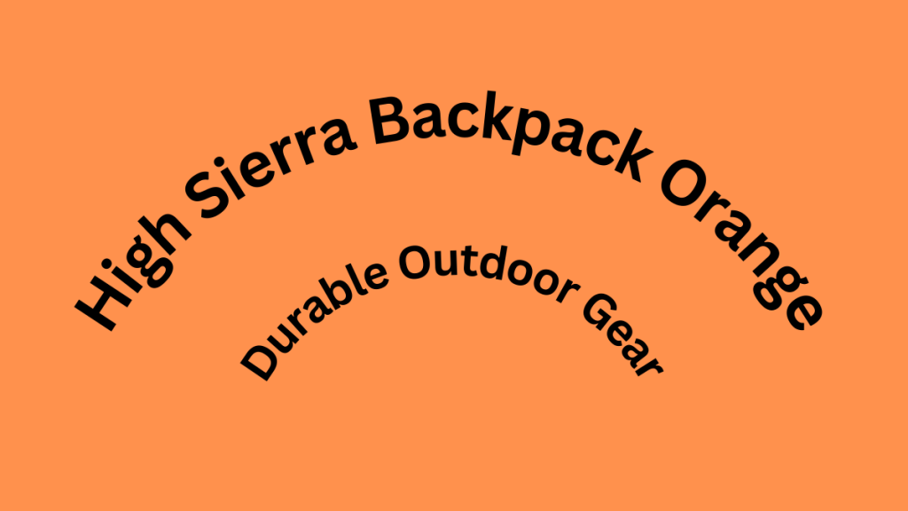 High Sierra Backpack Orange