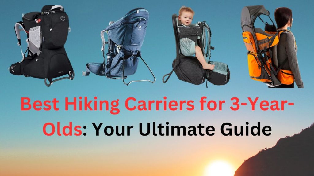 Best Hiking Carriers for 3 Year Olds