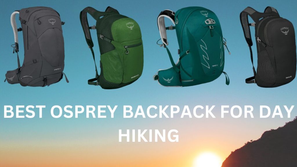 best osprey backpack for day hiking