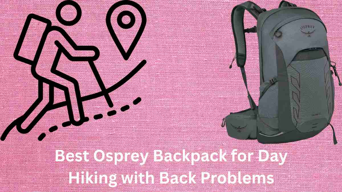 Best Osprey backpack for day hiking with back problems | FineBackpack