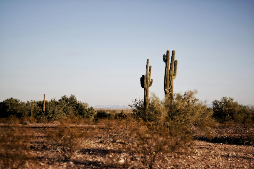 backpacking in the superstition mountains